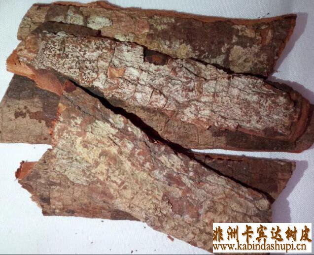 卡宾达树皮怎么鉴定,卡宾达树皮多少钱一斤,卡宾达树皮买家哪里找,卡宾达树皮补肾吗,