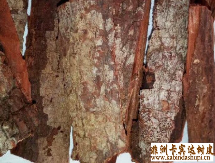 卡宾达树皮副作用,卡宾达树皮价格,卡宾达树皮的用法,卡宾达树皮哪里有卖,