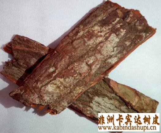 卡宾达树皮多少钱一斤,卡宾达树皮买家哪里找,卡宾达树皮补肾吗,