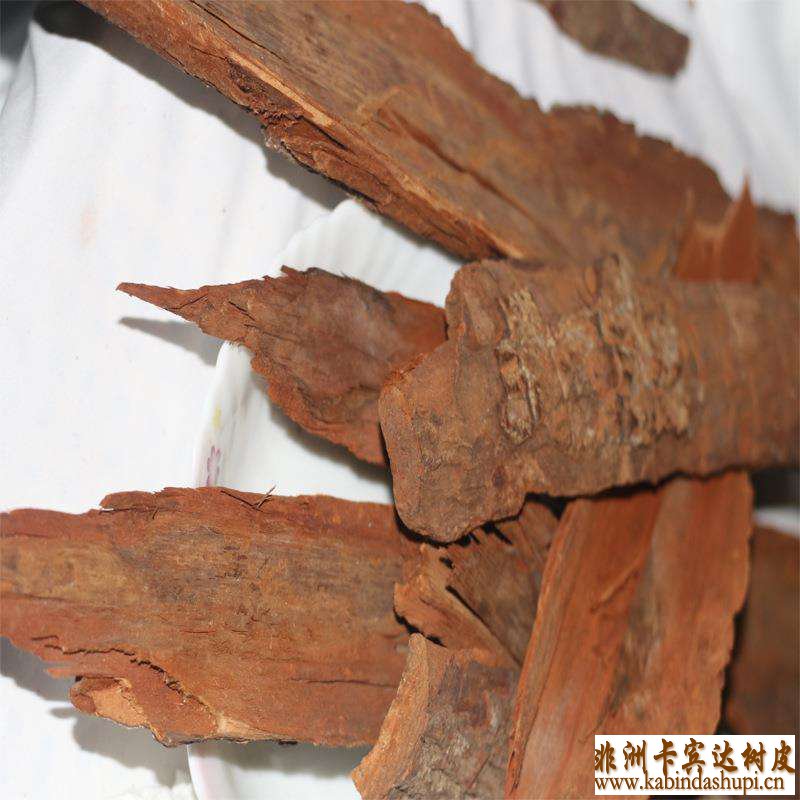 卡宾达树皮是什么,卡宾达树皮真假,非洲卡宾达树皮,