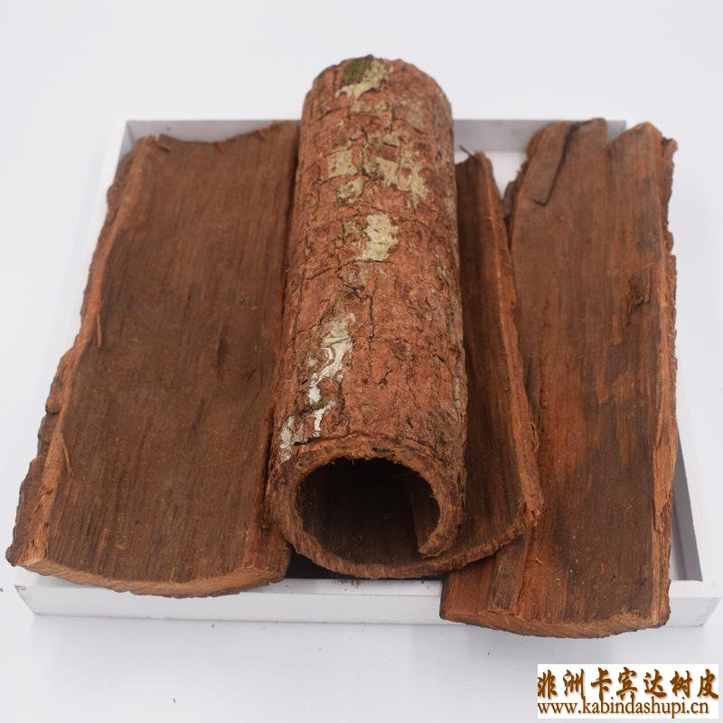 卡宾达树皮是什么,卡宾达树皮真假,非洲卡宾达树皮,
