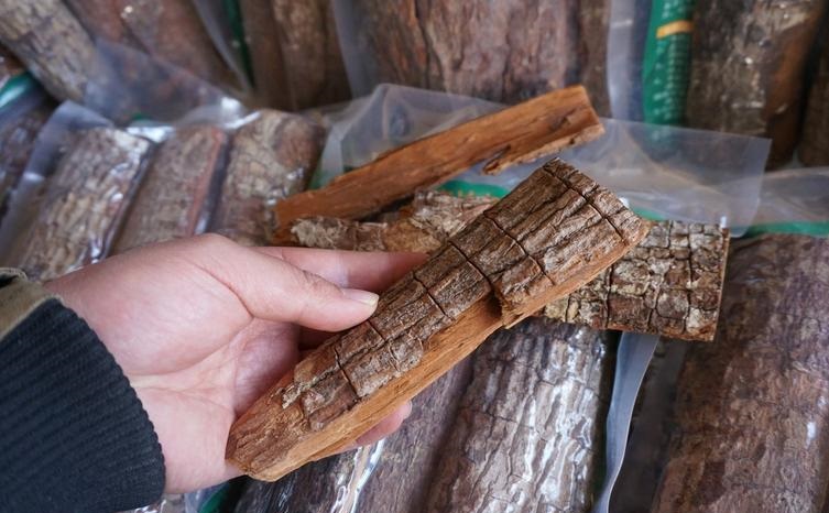 卡宾达树皮功效与作用 卡宾达树皮功效与作用和用法