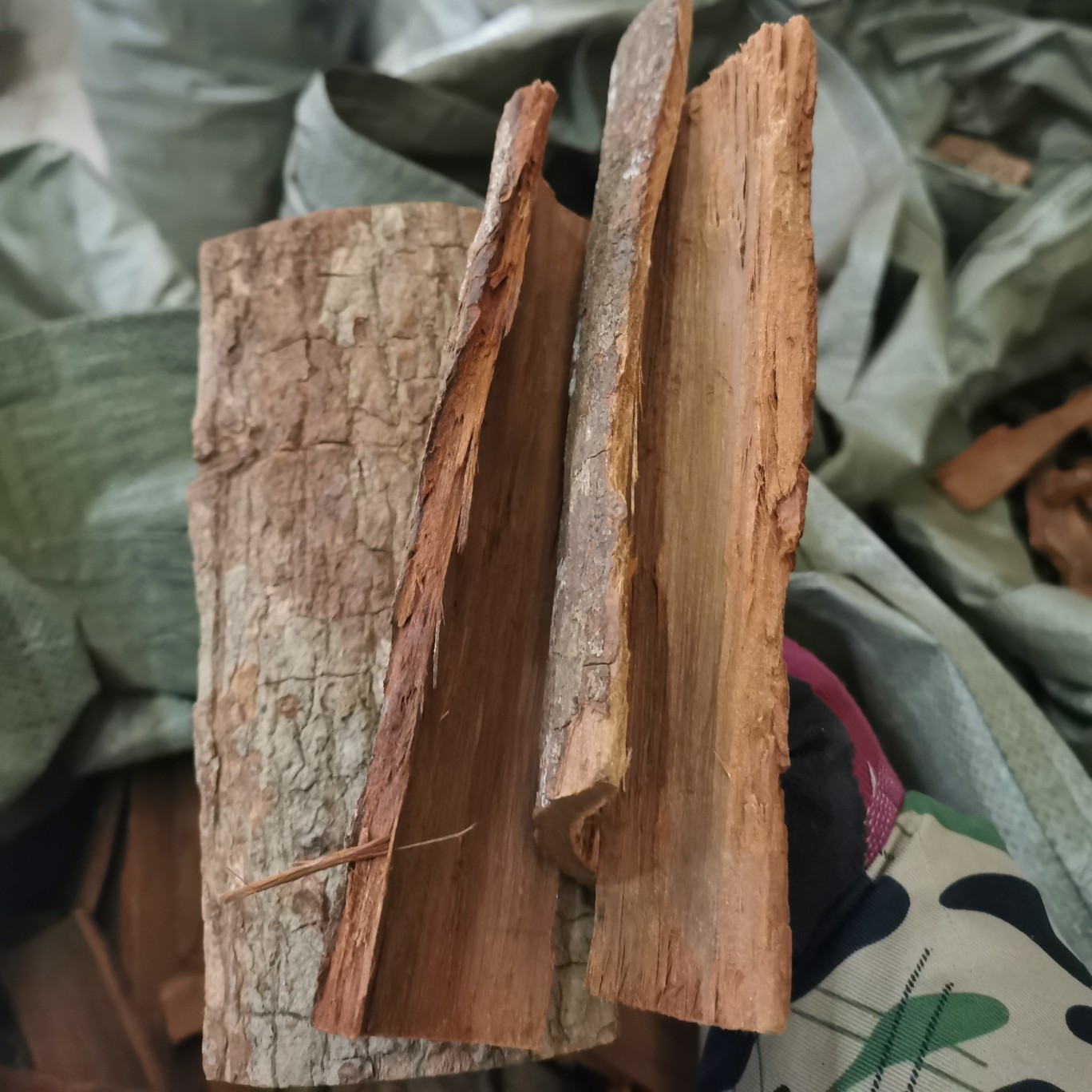 卡宾达树皮能延时多久 卡宾达树皮的正确吃法